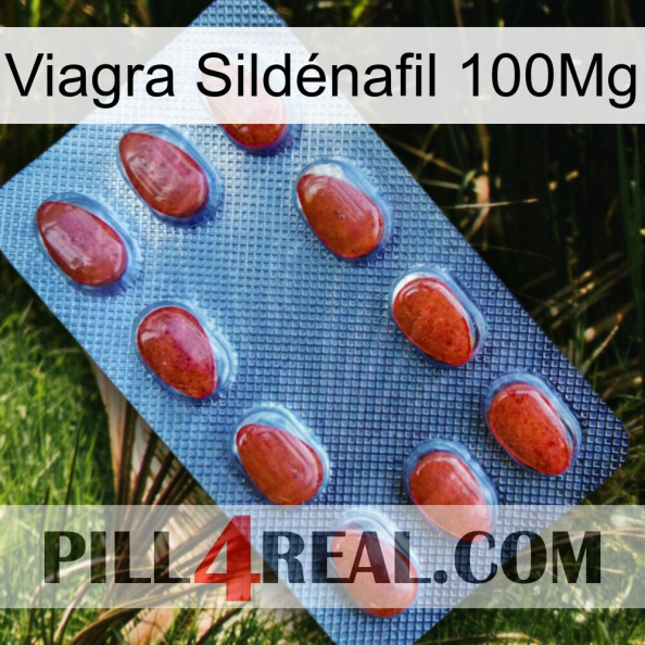 Viagra Sildénafil 100Mg 06